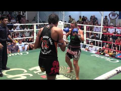 tiger boxer