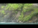 TripToTheSouthIsland(NewZealand) TripToTheSouthIsland(NewZealand)