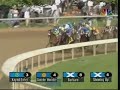Barbaro crushes the field to remain undefeated. RIP, big fella.