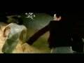 ASN MUSIC VIDEO
