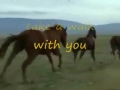 Feelings like horses