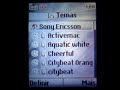 w200/w300 Flash themes by HC w200/w300 Flash themes by HC