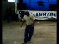 la abeja miope