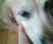Betty