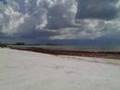 Siesta Key Gem In The Rough