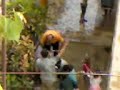 Holi in Bangalore
