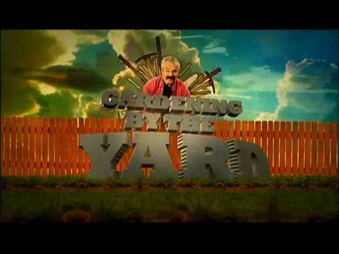 how to transplant baby cycads