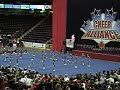 Cheerforce Wolfpack Mini Oshawa