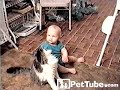Cat Wants Baby's Balloon
