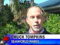 Whale That Killed Its Trainer Won't Be Isolated