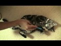 ʡ����������ʡ�����γ����δ���.m2ts:YouTube������=15��