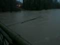 videos de 2009-01-07 Snoqualmie River flood from 202 bridge near the Falls - tree floating under bridge