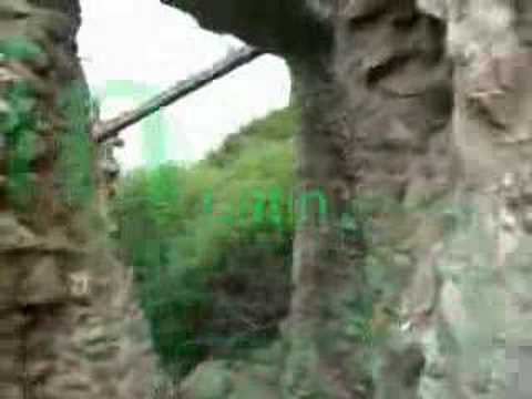 Teddy goes to Ladonia