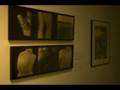the harn musuem after effects