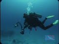Eagle Ray & Wreck Dive - Cozumel Mexico Eagle Ray & Wreck Dive - Cozumel Mexico