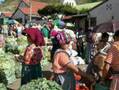 Atitlán, Sololá,San Andrés, etc., GUATEMALA