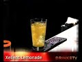 Xellent Lemonade Xellent Lemonade