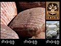 gregorian chant - vidi aquam
dillinja - grimey remix
choying drola & steve tibbets - chenrezig