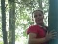 videos de Koala
