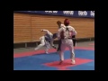 Taekwondo, mixed youtube videos collected.
