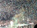 Black Eyed Peas concert *Nunavut fans enjoy their awesome concert*- Winnipeg, ...