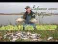 Видео - Фидерная ловля осенью. Экшен рыбалка