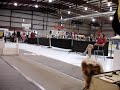 JDD Barkside- June 2006 Coconut Classic
