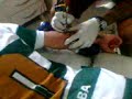 Retocando a tatuagen p/2