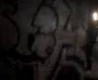ilegal vandals rne