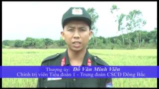 Tiểu đoàn 1 - Trung đoàn Cảnh sát Cơ Động Đông Bắc giúp dân thu hoạch lúa tránh bão