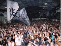 gavioes da fiel (bruno fiel cachoerinha)