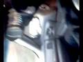videos de stephh