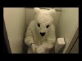 ANTI-KNUT lied