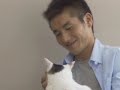サンゲツ 機能性壁紙