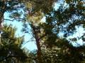 videos de Swiss Folk Music 3
