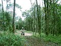 Ruy Polinho xT 225 Ruy Polinho xT 225