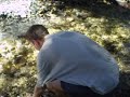 Winklmeier/creek