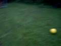 videos de Vive le lazer 5