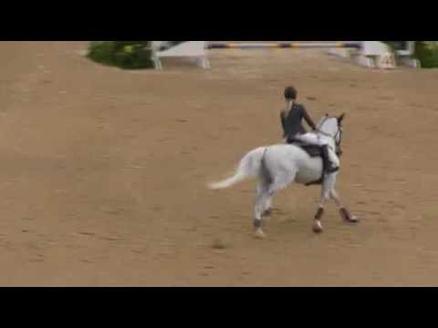 FAUSTINO 1M50 CSI*** LEXINGTON MAY 2016