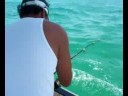 Arnelito, Russ & Drizzle with Kingfish