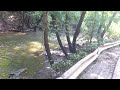 video2.mov Video
