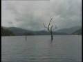 videos de The Silenced Witness (P. Balan and Radha R.) - UKEFF 2006