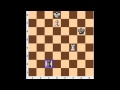 Chess Endgame: Lucena Position