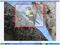 How to Make a Collage Qlippit with QlipBoard