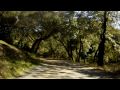 Bike Ride FILE0007