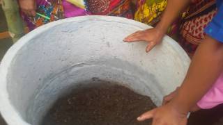 Vermicompost Training in Baliadangi, Thakurgaon