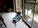 Connor and pups2