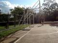 videos de fut quadra