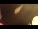 joey spills