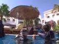 Apnea Academy - Redsea